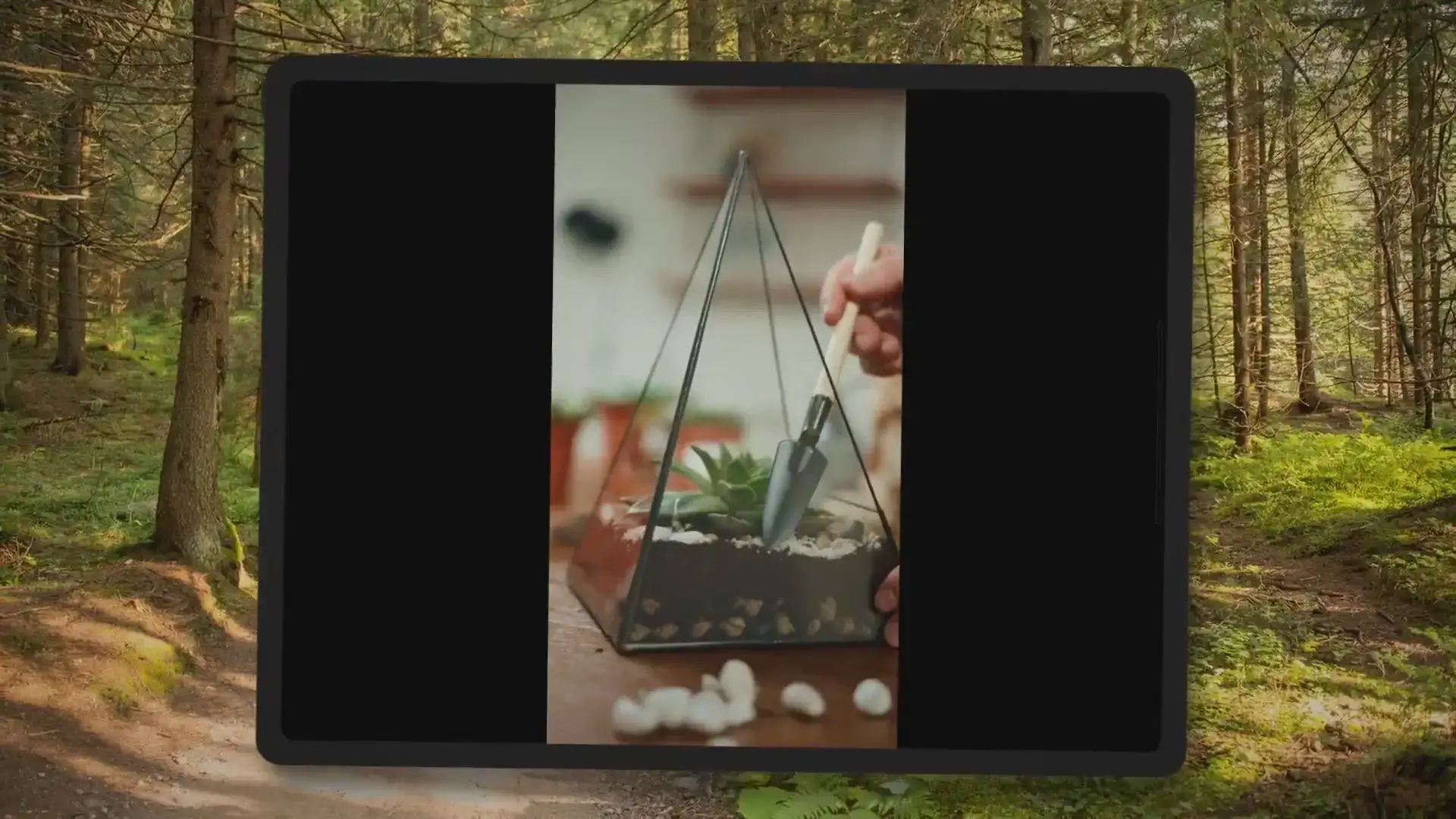'Video thumbnail for Are Terrariums Expensive to Make? (Ideas for all Budgets)'