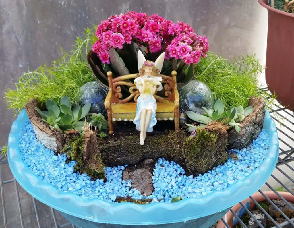 clean fairy garden