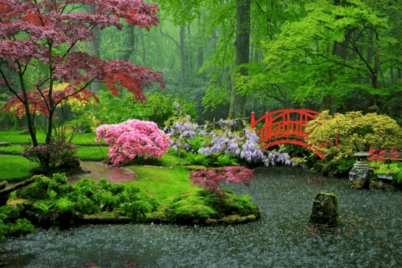 cultural fairy garden